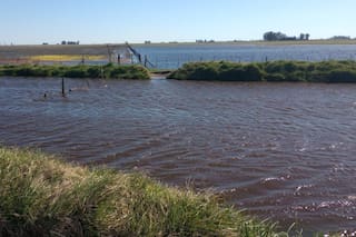 Se sumaron miles de hectáreas a la inundación en el centro oeste bonaerense y temen algo “mucho más trágico”