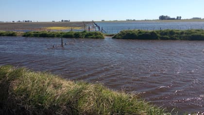 Hugo Enríquez advirtió: “Si la primavera viene complicada, esto va a tomar un color mucho más trágico”