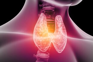 Tanto el hipotiroidismo como el hipertiroidismo son dos afecciones de salud que se caracterizan por el desequilibrio hormonal de la tiroides