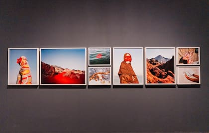 HUMAN, una muestra en Fundación Proa.