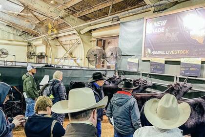 "Cattlemen’s Congress Oklahoma 2021" es la exposición donde un ternero con genética de La Rubeta se vendió el 50% a US$180 mil 