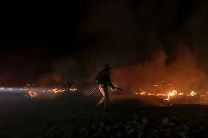 En agosto pasado, se registraron devastadores incendiosen Calamuchita, en Córdoba
