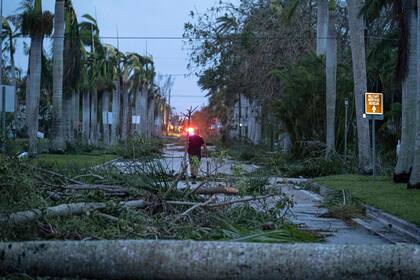 Un hombre camina por una calle que fue cortada al tránsito por la gran cantidad de arboles caídos