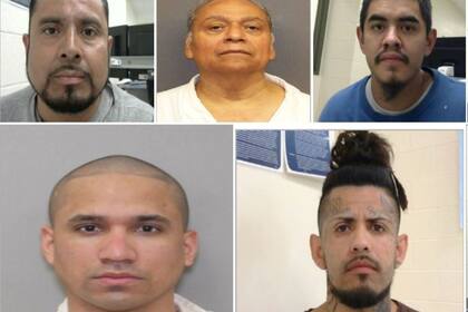 ICE difundió los delitos y antecedentes de un grupo de migrantes deportados