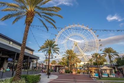 ICON Park cuenta con varios juegos considerados como los más altos del mundo