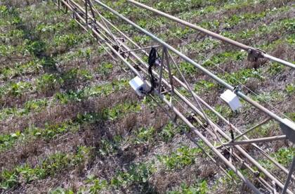 Identificación y control de malezas en cultivos implantados con cámaras