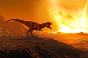 Identifican el impacto de un segundo asteroide que pudo acompañar al que provocó la extinción de los dinosaurios