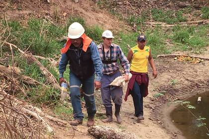 En el medio, Ignacio Peña. Salía con su equipo a buscar animales que necesiten asistencia