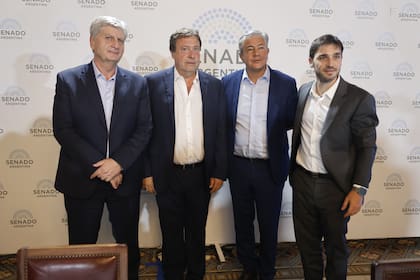 Sergio Ziliotto (La Pampa), Alberto Weretilneck (Río Negro), Rolando Figueroa (Neuquén) e Ignacio Torres (Chubut)