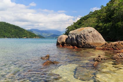 Ilha da Cotia en Paraty y su agua ideal para espiar la vida marina