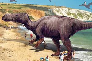 Descubren una nueva especie de dinosaurio iguanodonte con rasgos nunca antes vistos