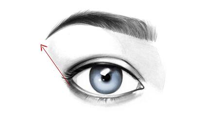 Ilustración: Ana Monti