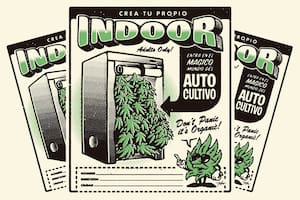 Autocultivo: cuánto falta para que sea legal plantar marihuana en tu casa