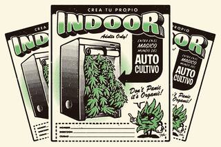 Autocultivo: cuánto falta para que sea legal plantar marihuana en tu casa