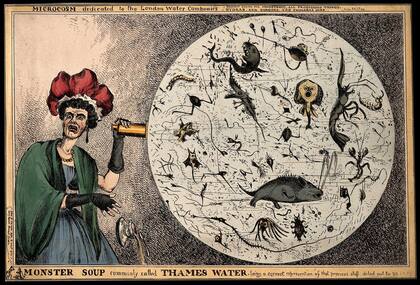 Ilustración de Thames Water (la compañía de agua londinense) también del siglo XIX y que ejemplifica la cantidad de enfermedades que pueden darse a través de la contaminación del agua como el propio cólera o la fiebre tifoidea