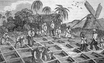 Ilustración de una plantación de azúcar en las islas del Caribe, en 1833