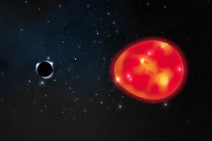 Astronomía: hallaron “El Unicornio”, un agujero negro que se escondía “a plena vista”