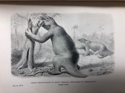 Ilustración del libro Extinct monsters, de J. Smith et. al. de 1896.