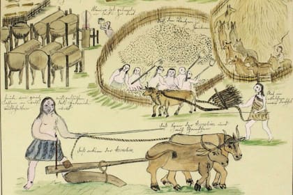 Ilustración del padre Paucke