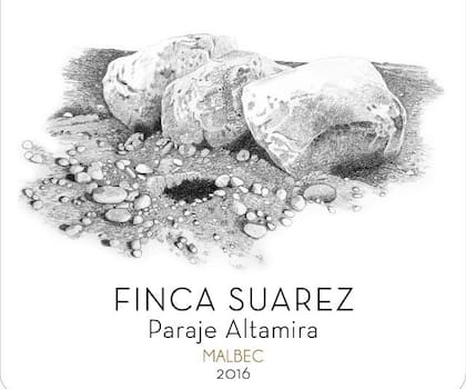Ilustración en lápiz de Mariana Sissia para Finca Suárez