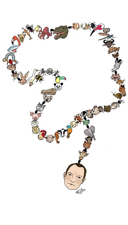 Ilustración: Fernanda Cohen