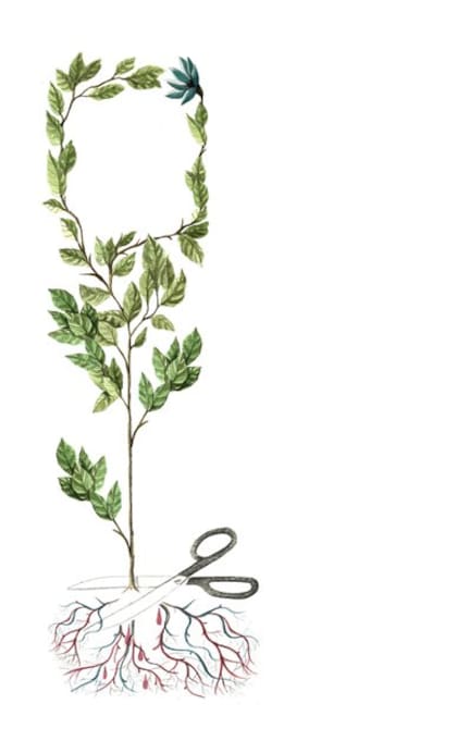 Ilustración: María Elina Méndez