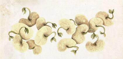 Ilustración: María Elina Méndez