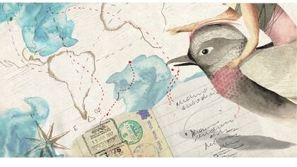 Ilustración: María Elina Méndez