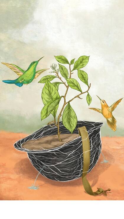 Ilustración: Maximiliano Amici