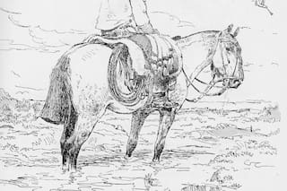 Los Acevedo Díaz, padre e hijo dedicados a la novela gauchesca