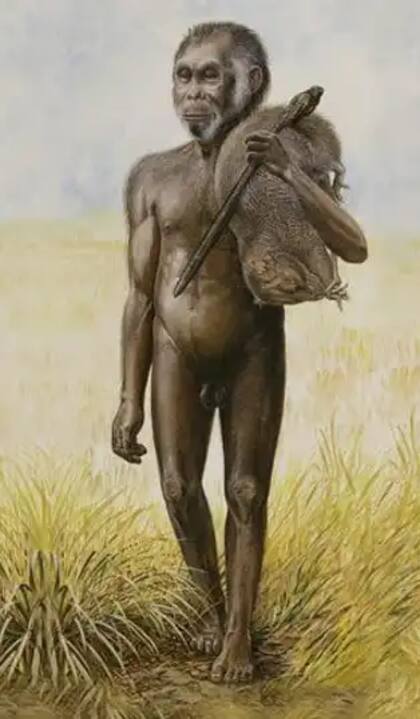 Ilustración que muestra a un Homo floresiensis macho con una rata gigante al hombro