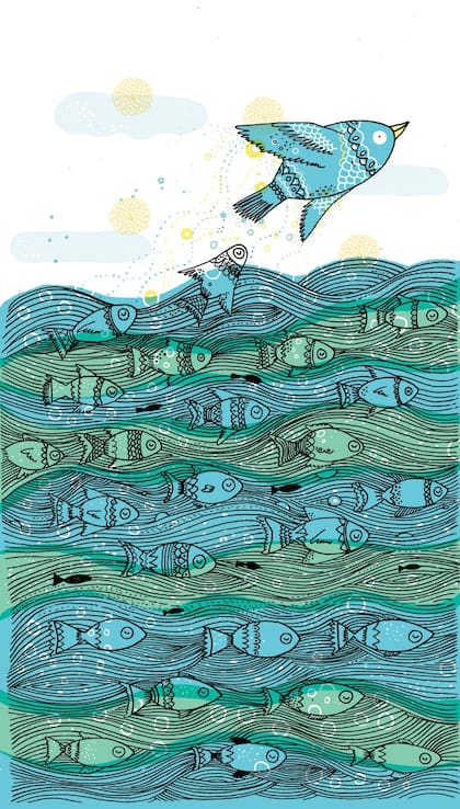 Ilustración: Vero Gatti