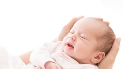 Imagen de referencia