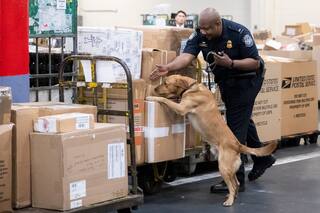 El megaoperativo de la CBP y el IRS para incautar millones de dólares en oro en el aeropuerto JFK de Nueva York