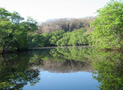 Imagen de la Laguna de Manialtepec, en Oaxaca, México, donde ocurrió el ataque del cocodrilo a las hermanas Laurie. Fuente: TripAdvisor.