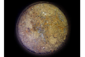 Imagen de la muestra con posibles rastros de vida recogida por el Perseverance en Marte