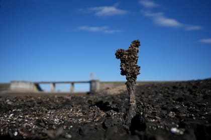 Imagen del 1 de julio de 2023 del fondo descubierto de la Represa de Paso Severino a causa de la sequía, en el departamento de Florida, Uruguay.