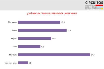 Imagen del presidente Milei en la ciudad de Buenos Aires, en la encuesta de Circuitos