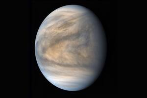 Sondas privadas buscarán vida microbiana en las nubes de Venus
