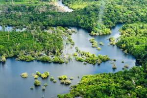 Por qué la leyenda de la ciudad perdida del Amazonas no tiene sentido