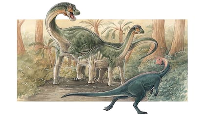 Imagen ilustrativa sobre el Yeneen houssayi