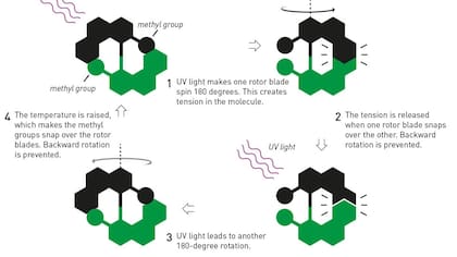 Imagen: Johan Jarnestad/the royal swedish academy of sciences