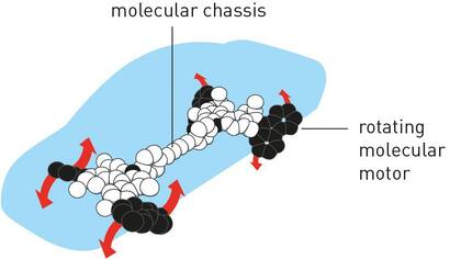 Imagen: Johan Jarnestad/the royal swedish academy of sciences