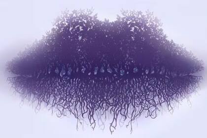 Imagen para descifrar