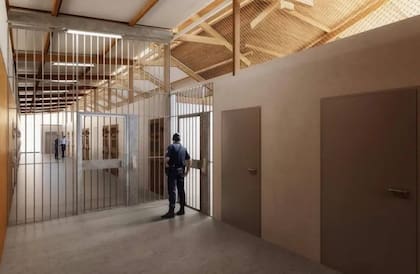 Imagen que muestra la entrada de un conjunto de celdas