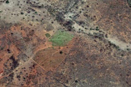 Imagen satelital que muestra el verde de la agrofloresta de Nelson Araújo Filho destacándose en el paisaje un año después de la implementación del sistema, en 2019