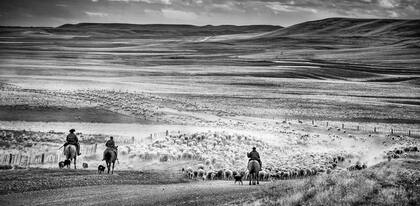 Imagen tomada en la zona norte de Río Grande, en Tierra del Fuego