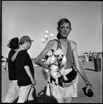 Imagen tomada por Pérez Aznar