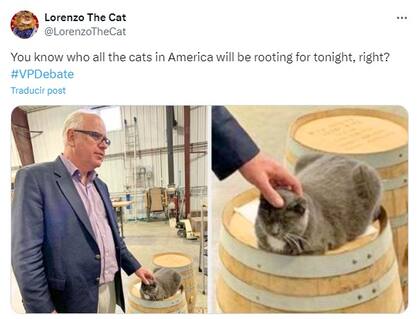 (Imagen X @LorenzoTheCat)