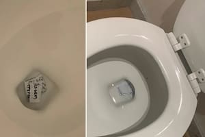 Imágenes de documentos que Donald Trump tiró por el inodoro.